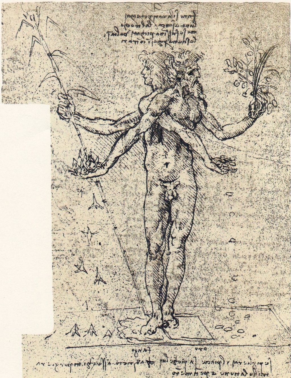 Miniature of Leonardo da Vinci - unknown drawing of androgyn corpus with two heads